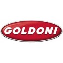 logo GOLDONI